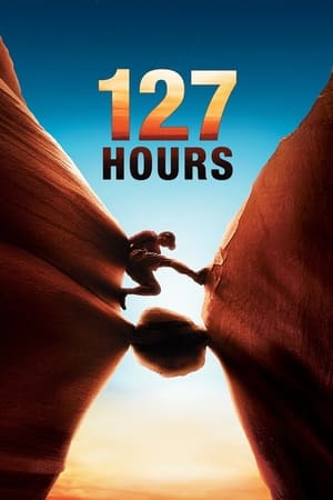 127 Hours (2010) Hindi Dual Audio 330MB