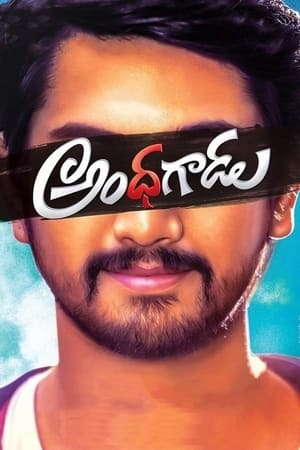 Andhhagadu 2017 Hindi Dual Audio [1.4GB]
