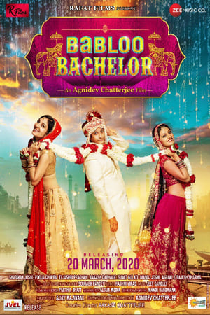 Babloo Bachelor (2021) Hindi Movie – 480p