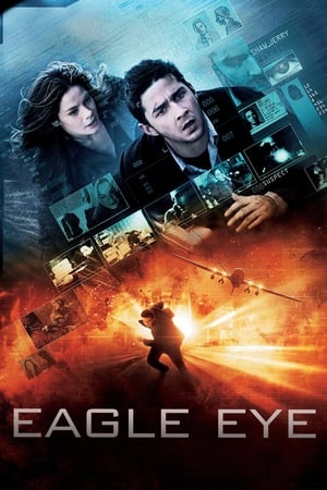 Eagle Eye (2008) Hindi Dual Audio [1.3GB] ESubs