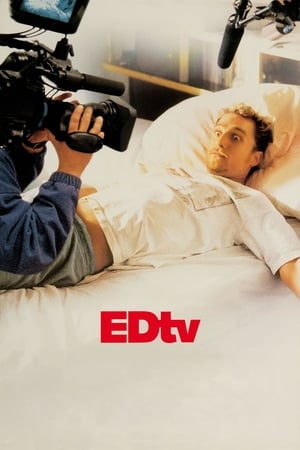 Edtv (1999) Hindi Dual Audio 350MB