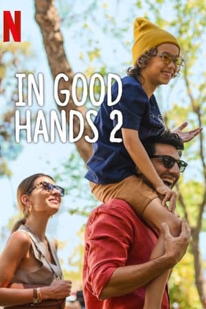 In Good Hands 2 (2024) Hindi Dual Audio – – 480p
