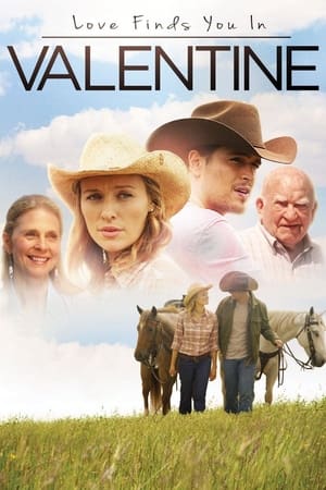 Love Finds You in Valentine (2016) Hindi Dual Audio 300MB