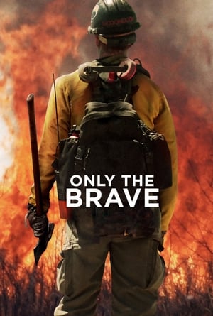 Only the Brave 2017 Hindi Dual Audio – 480p