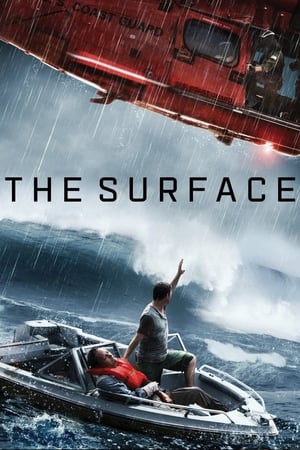 The Surface (2014) Hindi Dual Audio [800MB]