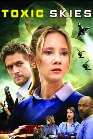 Toxic Skies 2008 Hindi Dual Audio [950MB]