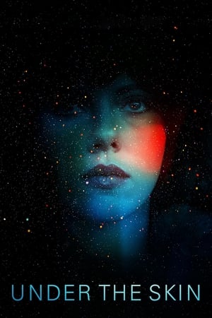 Under the Skin 2013 Hindi Dual Audio 350MB