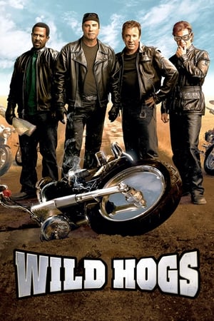Wild Hogs (2007) Hindi Dual Audio 340MB