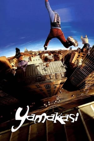 Yamakasi 2001 Hindi Dual Audio [980MB]